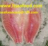 Tilapia fish zhangsf77...