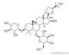 Cycloastragenol, Astragaloside IV, 84605-18-5