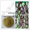 Artichoke Extract