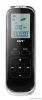 Digital Lcd Voice Reco...