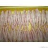 Export Chicken Paw | Chicken Feet Suppliers | Poultry Feet Exporters | Chicken Feets Traders | Processed Chicken Paw Buyers | Frozen Poultry Paw Wholesalers | Low Price Freeze Chicken Paw | Best Buy Chicken Paw | Buy Chicken Paw | Import Chicken Paw | Chi