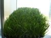 Artificial Soccer Turf/football turf