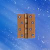 Door ss hinges