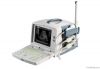 Veterinary Ultrasound ...