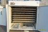 Automatic egg Incubato...