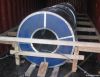 Color coated steel coi...
