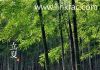 Goods Inspection / Qua...