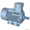 Explosion Proof Motor ...