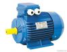 Induction Motor Y2 Series