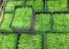 Fresh Green Beans from...