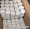 garlic/pure white garl...