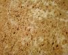 Yellow Sandstone