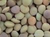 Chinese Lentils