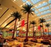 Preserved palm tree , ...