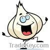 Peeled Garlic