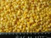 IQF Sweet Corn Kernels...