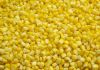 frozen sweet corn