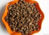 sell pine nut