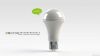 BULB MODULE
