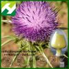 Milk Thistle Extract 8...