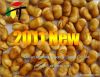 2011 China broad bean