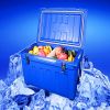 62L Bule Cooler Box