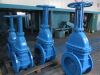 Rising stem gate valve