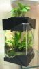 Bio Fish Tank