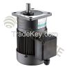 Precision Gear Motor (V-Casing Type)