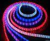 LED Rope Light