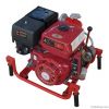 Fire pump