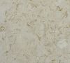 collossae beige