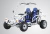 EEC COC Approval 250cc...