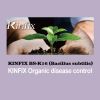 KINFIX BS-K16 (Bacillu...