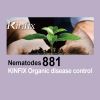 KINFIX - Nematode 881 ...