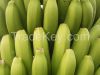 Bananas