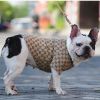 dog coat