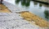 Gabion basket/gabion box