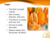 Citrus Fruit Fresh Mandarin (Kinnow)