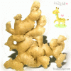 2011 china garlic price
