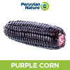 Purple Corn