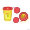 Sharp Container