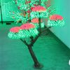 Long lasting led cherr...