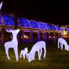 Glitter acryl 3d led lighted standing buck/deer sculpture for christmas festival