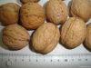 Cheap Walnut | Wholesa...