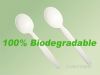 100%biodegradable PLA Soup Spoon, cornstarch based Spoon