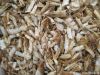 Dried Shirmp Shell