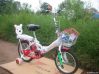 kid bicycle