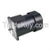 Induction AC Gear Motor	