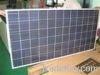 Phoebus Poly 260W sola...